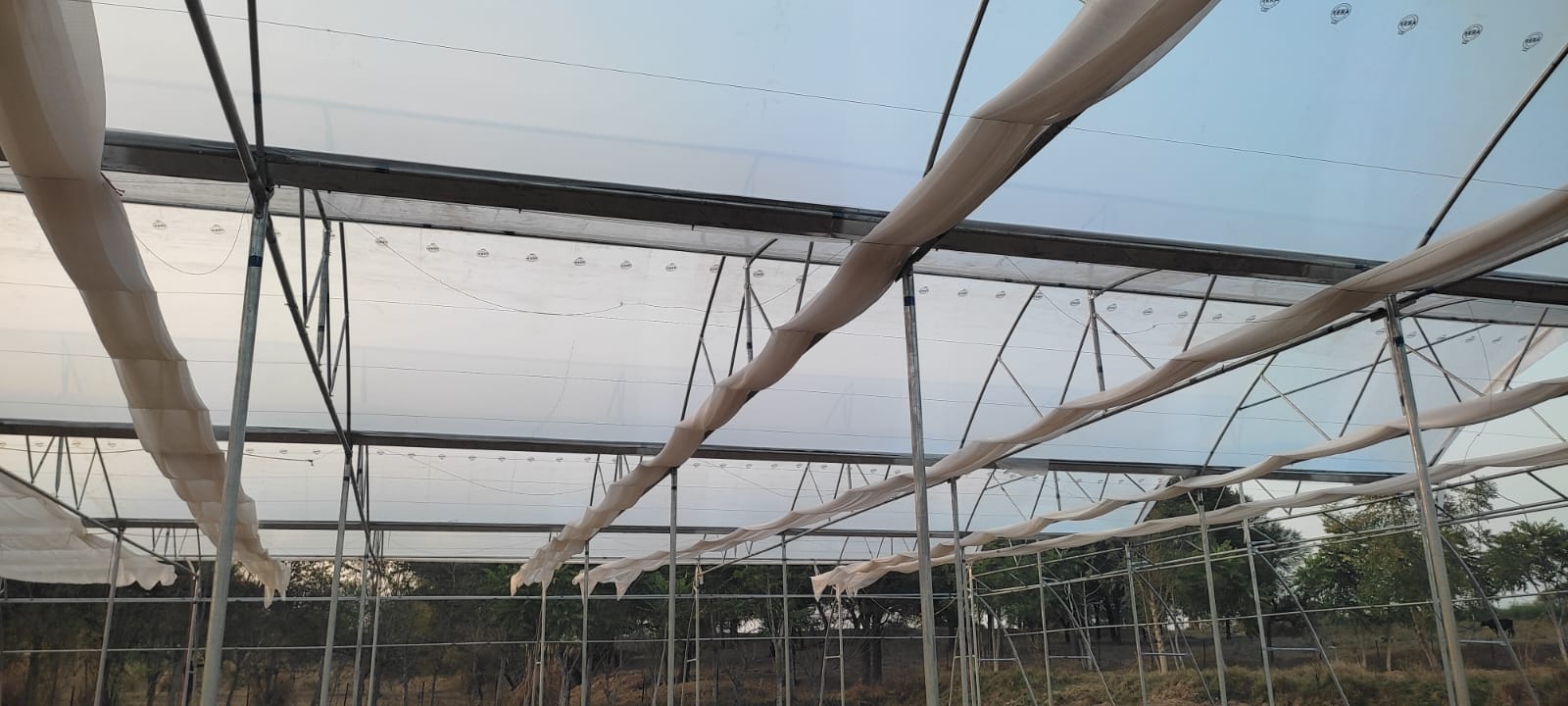 Greenhouse Project 46